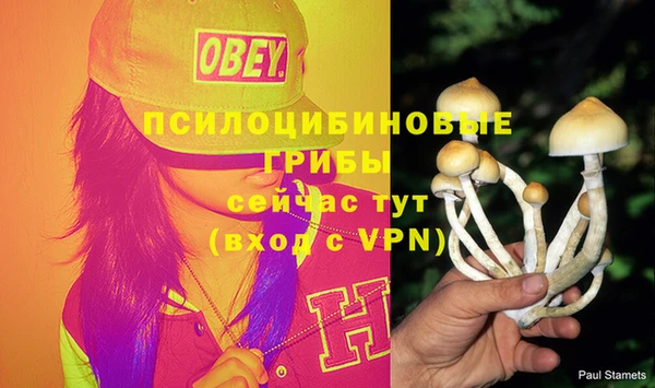 дживик Карталы